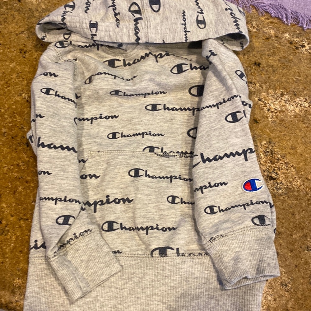 Champion hoodie